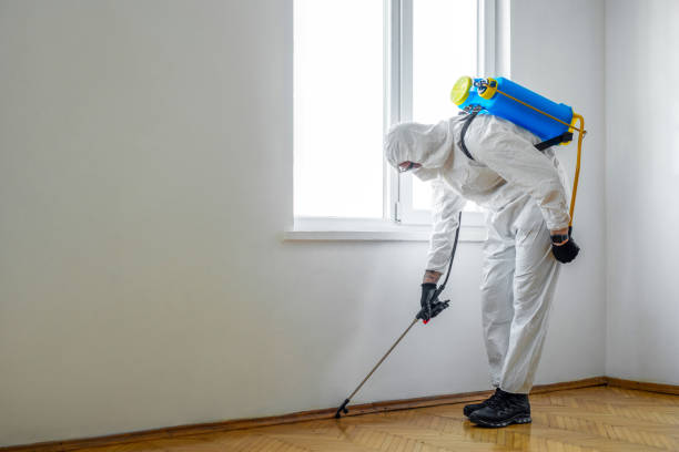 Best Emergency Pest Control  in Sunbury, PA